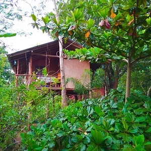 Privatunterkunft Akash Treehouse, Sigiriya