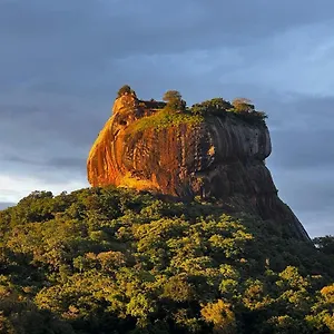 Privatunterkunft Mango, Sigiriya
